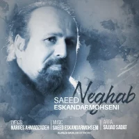 Saeed Eskandarmohseni