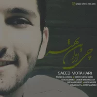 Saeed Motahari