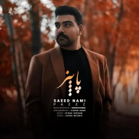 Saeed Nami