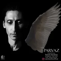 Saeed Sarafraz