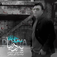 Saeid Khodayari
