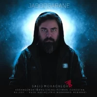 Saeid Mohaghegh