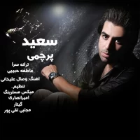 Saeid Parchami