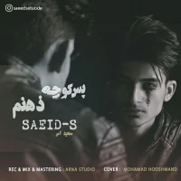 Saeid S