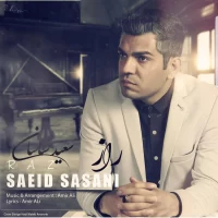 Saeid Sasani