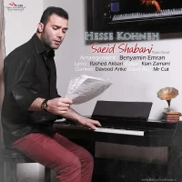 Saeid Shabani