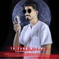 Shahab Tabatabaei