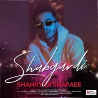 Shahryar Shafaee