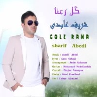 Sharif Abedi
