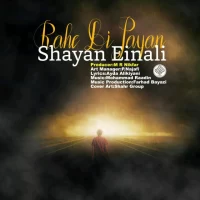 Shayan Einali