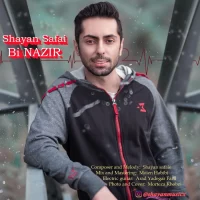 Shayan Safaie