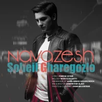 Soheil Gharegozlo