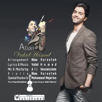 Vahid Hamed
