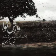 Aidin Nourmohammadi – Vareshe Nava