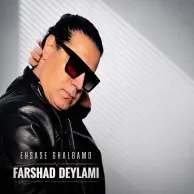 Farshad Deylami – Ehsase Ghalbamo