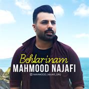 Mahmoud Najafi – Behtarinam