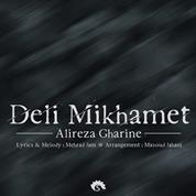 Alireza Gharine – Deli Mikhamet