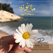 Peyvand – Male Toe