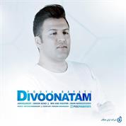 Pouya Bayati – Divoonatam