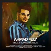 Ahmad Feily – Hame Joore Hastam