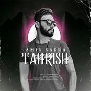 Amin Sadra – Tah Rish