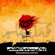 Seyed Milad Hashemi – Gozal Abbasim