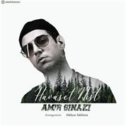 Amir Sinaki – Havaset Nist