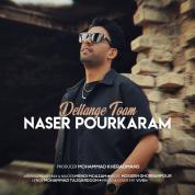 Naser Pourkaram – Deltange Toam