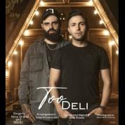 Nima Shams And Miladz – Too Deli