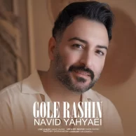 Navid Yahyaei – Gole Rashin Navid Yahyaei – Gole Rashin