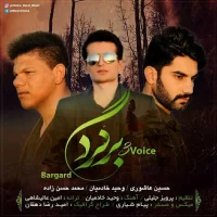 3Voice Band