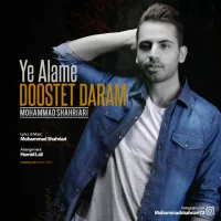 Mohamad Shahriari