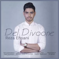 Reza Ehsani