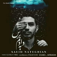 Saeid Nateghian