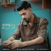 Amir Sharari – Deltangi