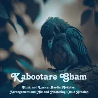 Bardia Mokhtari – Kabootare Gham