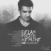 Amirabbas Hasanzadeh – Delam Khosh Nemishe
