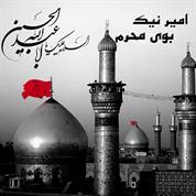 Amir Nik – Booye Moharram