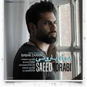 Saeed Torabi – Havaye Barooni