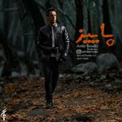 Amir Sinaki – Paeez