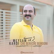 Meysam Kardi – Che Beri Che Bemoni