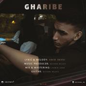 Amir Imani – Gharibe