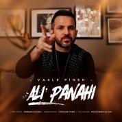 Ali Panahi – Vasle Pineh