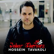 Hossein Tavakoli – Johar Ghermez