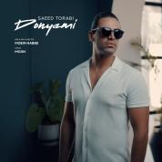 Saeed Torabi – Donyami