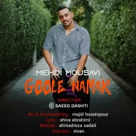 Mehdi Mousavi – Goole Namak