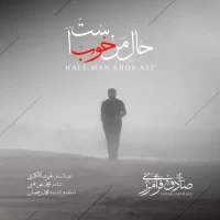 Sadegh Faramarzi