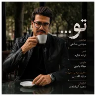 Mojtaba Saneiee – To