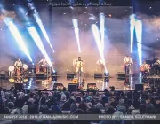 لالایی “علی زند وکیلی” در برج میلاد مورد استقبال شدید قرار گرفت - تصویر 13