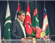 نمایشگاه عکس حامی - تصویر 20